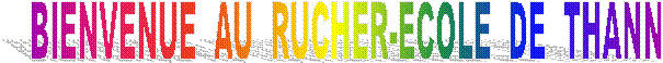 BIENVENUE  AU  RUCHER-ECOLE  DE  THANN